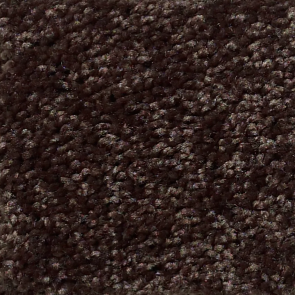 shaw Full Court Coffee Bean carpet in Cypress, CA from B&B Carpets and Flooring
